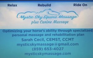 Mystic Equine Massage Sarah Cecil, https://mysticskymassage.com/our-story, mysticskymassage@gmail.com, (859) 653-4027