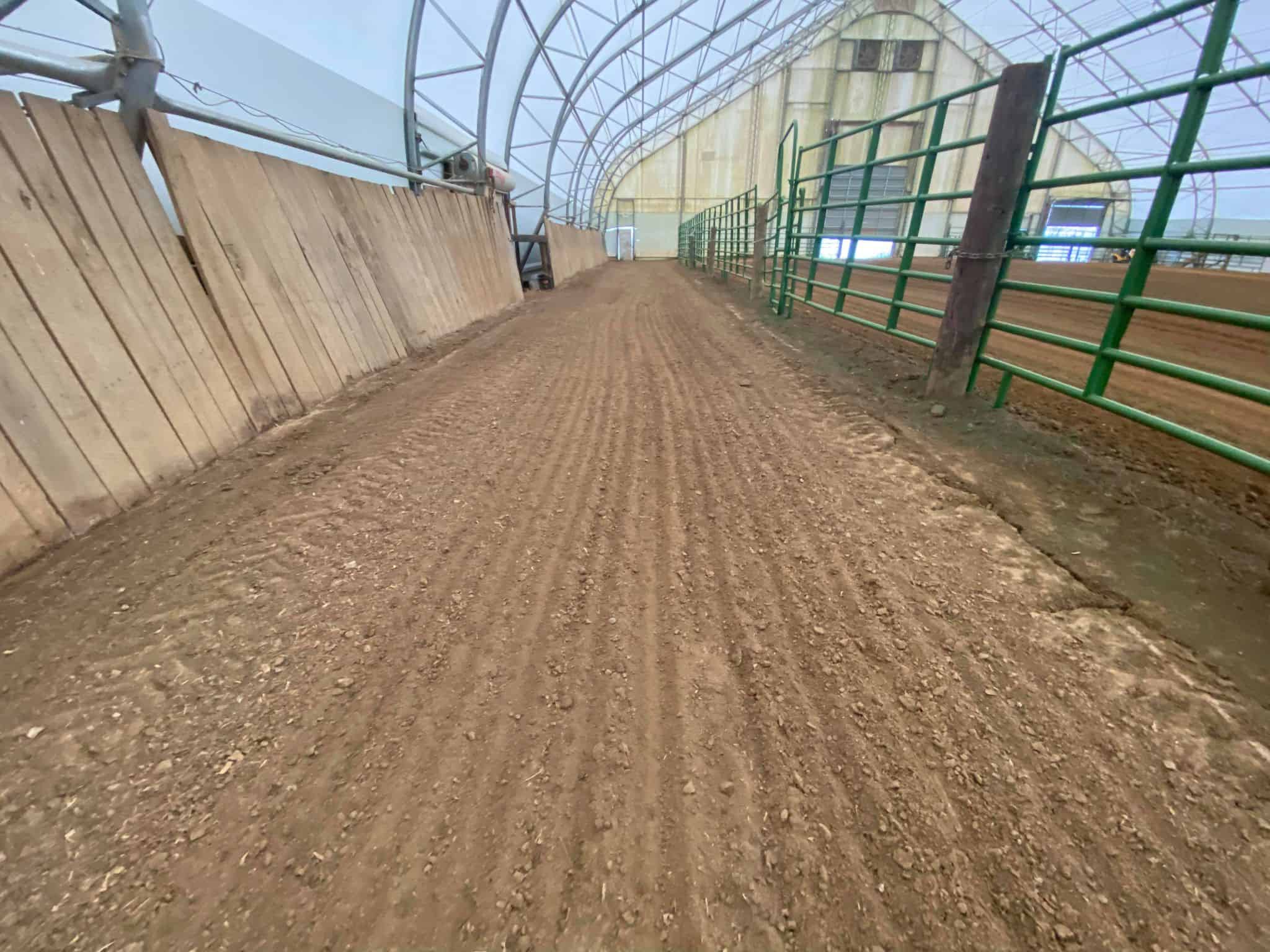 inside dirt arena